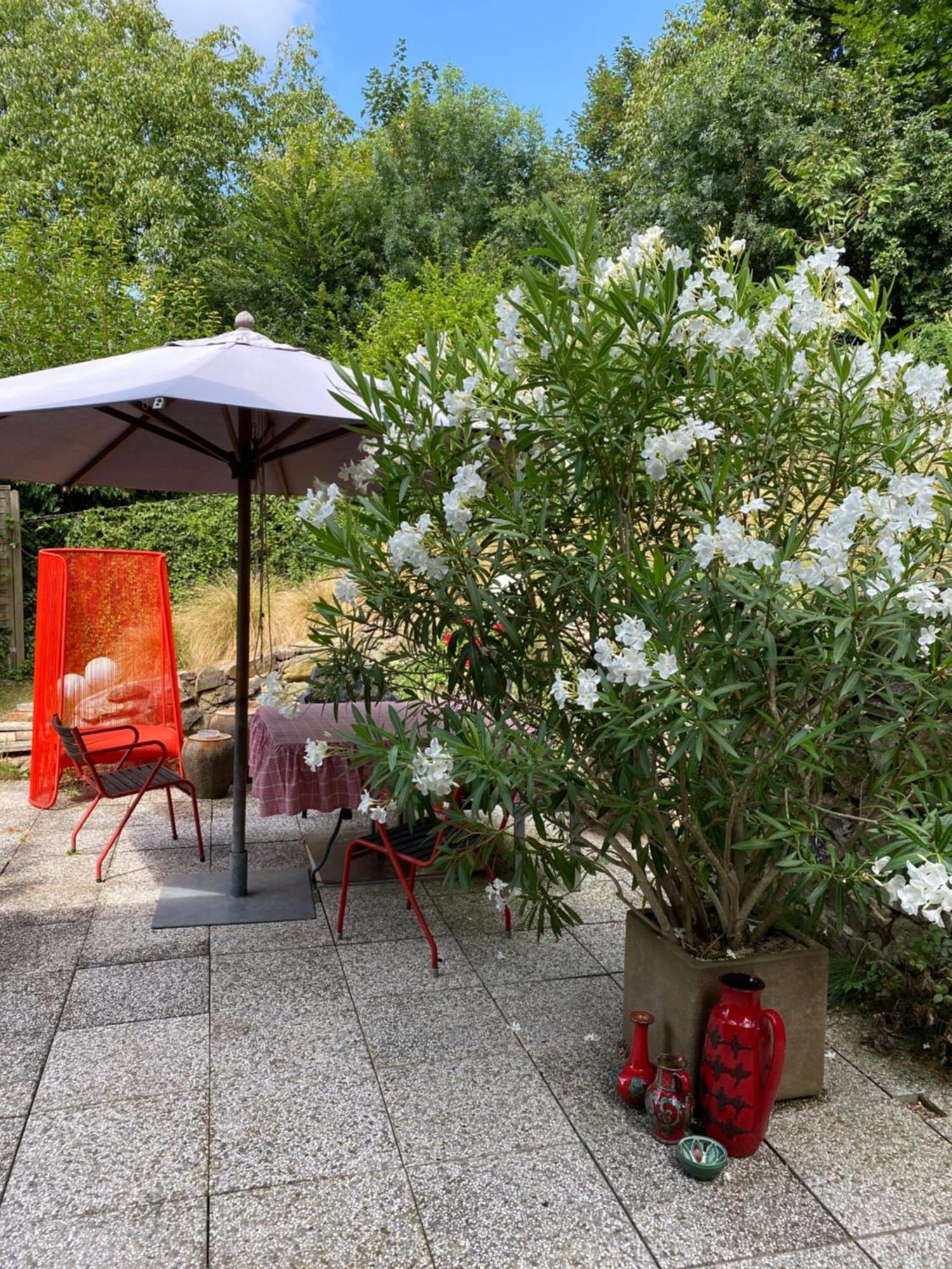 Jules&jim Gaestehaus Appartement